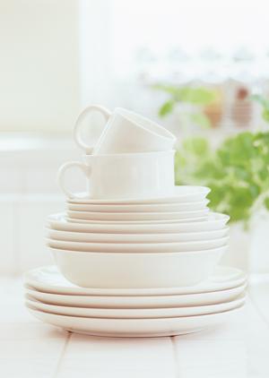 樹木の伐根・回収の株式会社信太商店